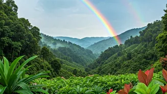 Monsoon Honeymoons Can Be Beautiful And Budget-Friendly