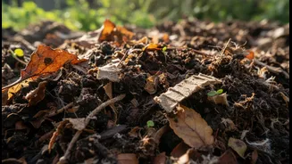 Compost Activators Are Secondary to Air, Carbon and Drainage