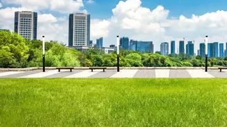 Urban Parks Are Part of the Social Fabric of a Modern City