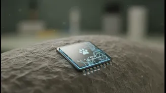 How readers can check whether microchipping is required or optional with Pet Registration Beyond Dogs
