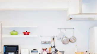 The Science Of Uneven Microwave Heating: Why Some Bites Stay Cold