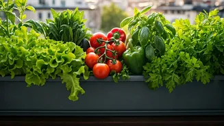 Urban Gardening Guides Reveal Easiest High Yield Crops For Beginners