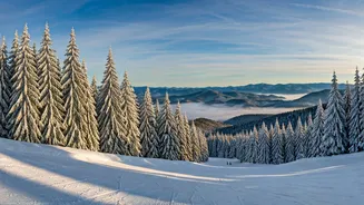 Southern Slopes: The Unexpected Charm of North Carolina Ski Vacations