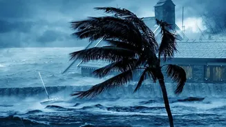 Could India's Monsoon Shift Change What Costs More At Markets?