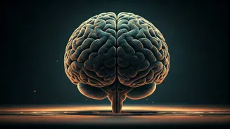 Unlocking Brain Power: 5 Crucial Daily Habits for Optimal Cognitive Health