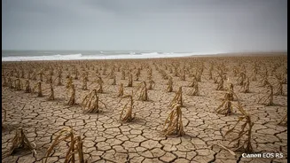 From Rain Deficits to Coastal Breaks, Goa's Weak Monsoon Spell Needs a Clear Decode