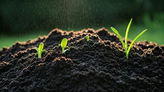 Waste Less, Grow More With Compost