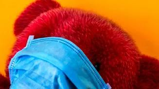 People At Higher Risk Of Severe Flu Are Priority Groups For Vaccination, With Older Adults Young Children And Some Chronic Conditions At Higher Ris...