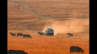 Why Kenya Is Becoming The New Luxury Safari Destination For Indian Travellers