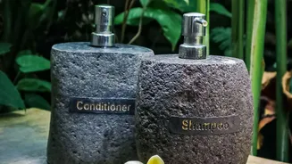 How Tropical Home Garden Plants Feature Plumeria As A Fragrant Design Option