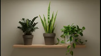 Indoor Greenery That Doesn't Need Constant Sunlight