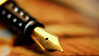 $100,000 OPT Proposal: Why Post-Study Work Access Is Central