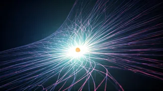 Related Stories banner