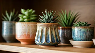 Handmade Planters Bring Personality To Small Spaces