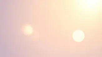 Related Stories banner