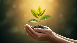 Related Stories banner