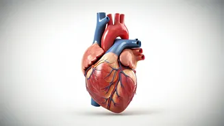 Heart Health: Essential Tips After Age 30