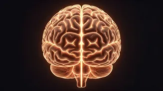 Daily Health Horizons: Navigating Emotional Wellness (Nov 13, 2025)