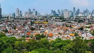 Bengaluru's Green Space Challenge Raises Questions About the Future of City Living