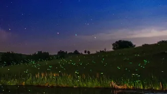 Why Udmal Village In Nashik Is Protecting Its Dark Night Skies