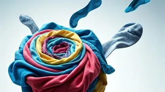 Decoding the Laundry Black Hole: Where Do Socks Disappear?