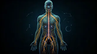 Zodiac Wellness Guide: April 20-26, 2026 - Prioritize Your Health