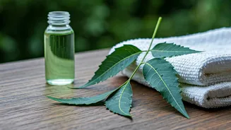 5 Natural Neem Leaf Hacks for a Spotless and Eco-Friendly Home