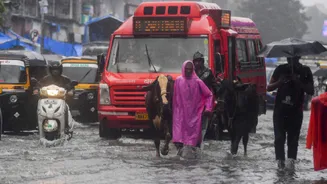 Maharashtra: IMD issues yellow alert for 25 cities