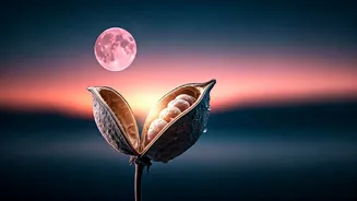 Pink Full Moon: 7 Universal Signals Pointing to a Major Life Transformation