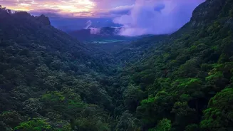 Heading To The Western Ghats? Pack These Rain Essentials Before You Leave