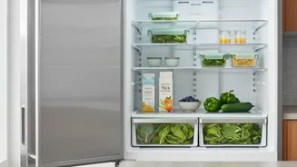 Before Sharing A Fridge, Confirm Shelf Rules
