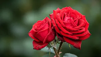 Unraveling the Complexities of a Relationship