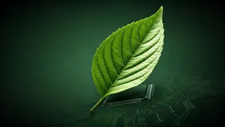 Earn Environmental Auditing Credentials To Land Premium Green Tech Jobs