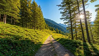 Embark on Adventure: 11 Unforgettable Indian Trails for Your First Trek