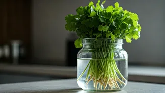 The Only Glass Jar Hack You Need For Fresh Coriander