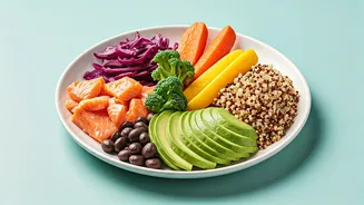 Color Coded Macro Food Plates Highlight Dynamic Diet Changes This Week