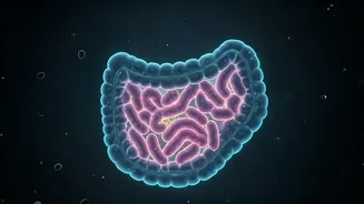 Gut Diversity Is The New Wellness Keyword