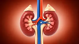 5 Habits Ruining Kidneys: Avoid These AM Mistakes!