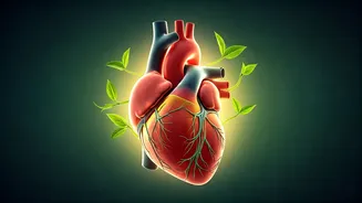 India's Heart Crisis: Younger Generations Now at Risk, Experts Reveal