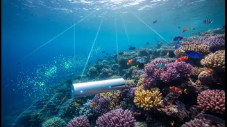 Tracking Ocean Changes Could Help Protect Marine Biodiversity