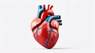 Eat These 5 Foods For A Healthy Indian Heart