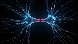 The Contagious Mystery: Why Does One Yawn Spark Another?