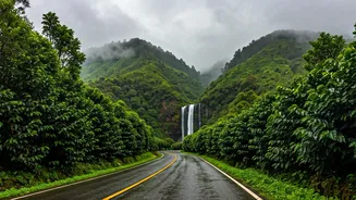 Scenic Monsoon Trips Worth Taking From Bengaluru