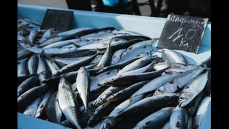Why Eating Seasonal Seafood Can Help India's Marine Ecosystems