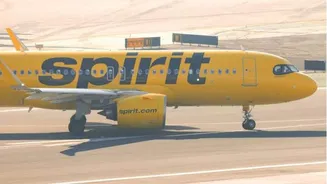Google buys data of bankrupt airline to train AI models