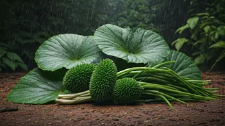 Wild Monsoon Foods Are Getting Their Moment