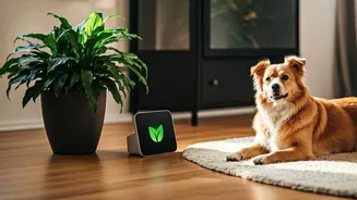 Indoor Wellness Is Moving Beyond Human Needs
