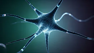 Nervous System Health Is The New Fitness Conversation