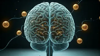 Unpacking ADHD: Beyond Attention in Indian Contexts