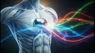 Why non-diabetic fitness buffs prefer real-time glucose tracking over standard calorie counting